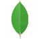 MongoDB