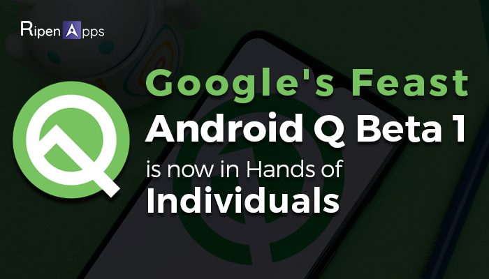 Google's Feast- Android Q Beta 1 Is Now In the Hands of Individuals