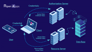 Token-Based Authentication of APIs