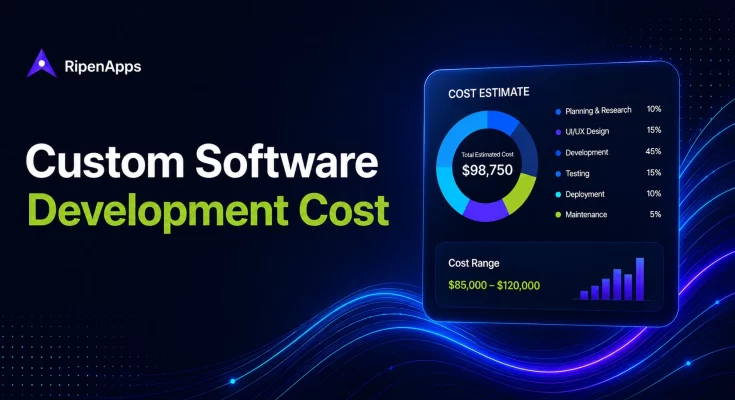 Custom Software Development Cost