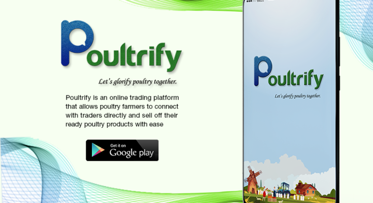 Poultrify- An excellent tech-path in the route of Poultry Trading Business.